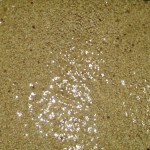 Fermentación